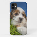 Pesquisar por cão iphone capas Animais de estimação