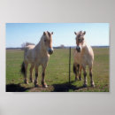 Pesquisar por noruegueses pôsteres Cavalo