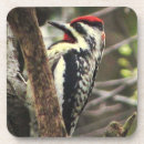 Pesquisar por safado presentes Animais