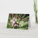 Pesquisar por pinheiro natal cartoes Sazonal