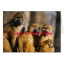 Pesquisar por macaco feliz Vida selvagem