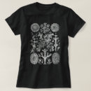 Pesquisar por haeckel de ernst femininas roupas Oceano