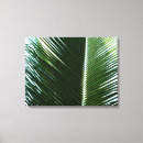 Pesquisar por caribe impressão de canvas Palmeira