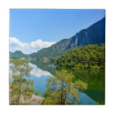 Pesquisar por lago azulejos Floresta
