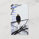 Pesquisar por águias americanas cartao de visita Vida selvagem