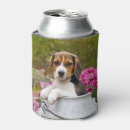 Pesquisar por beagle armazenamento alimentos Animal