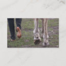 Pesquisar por casco do cavalo cartao de visita Cascos