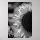 Pesquisar por flores artísticas pôsteres Fotografia