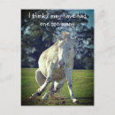 Pesquisar por pônei branco cartoes postais Equestre