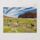 Pesquisar por boliviano cartoes postais Paisagem