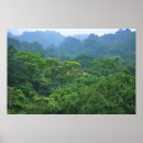 Pesquisar por guatemala pôsteres Natureza