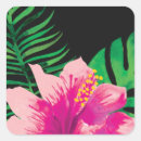 Pesquisar por flor tropical adesivos Flor de hibisco