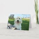 Pesquisar por sorriso bonito cartoes For her