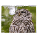 Pesquisar por aves canoras calendarios Calendário