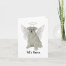 Pesquisar por sympathy casa presentes For pets