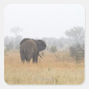 Pesquisar por kruger adesivos Horizontal