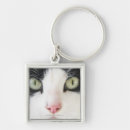 Pesquisar por gato doméstico chaveiros Horizontal