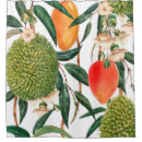 Pesquisar por watercolor fruit Botanical