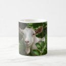 Pesquisar por pastoral canecas Animal