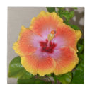 Pesquisar por flor exótica azulejos Laranja
