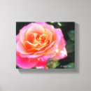 Pesquisar por híbrido impressão de canvas Rosa