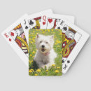 Pesquisar por ocidental baralhos Animal