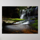 Pesquisar por da cachoeira Musgo