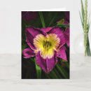 Pesquisar por ladybug cartoes Verão