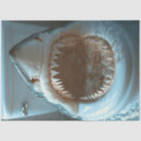 Pesquisar por boca aberta tubarão Qualquer pessoa