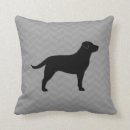 Pesquisar por retriever Labrador retriever