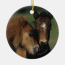 Pesquisar por miniaturas ornamentos Equestre