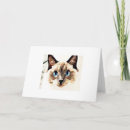 Pesquisar por mum cartoes Cat