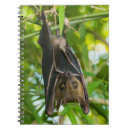 Pesquisar por orelha cadernos de notas Animal