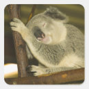 Pesquisar por brisbane adesivos Viagem
