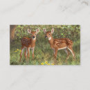 Pesquisar por cute cartao de visita Natureza