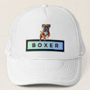 Pesquisar por boxer bones Cães