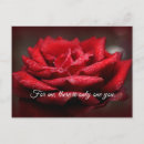 Pesquisar por rosa vermelha bonita cartoes postais Rosas