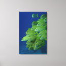 Pesquisar por arte francesa impressão de canvas Animais