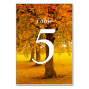 Pesquisar por mesas numeradas cartoes de mesa Bonito