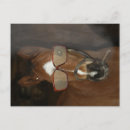 Pesquisar por cowboy cowgirl cartoes postais Cavalo