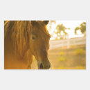 Pesquisar por cavalo marrom adesivos Animais