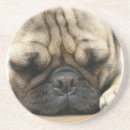 Pesquisar por pugs porta copos Cão do pug