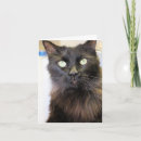 Pesquisar por fluffy cartoes Preto
