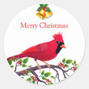 Pesquisar por passarinho vermelho adesivos Natal