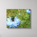 Pesquisar por ciano impressão de canvas Flor