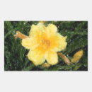 Pesquisar por flores artesanato material Botânica