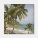 Pesquisar por playa imas Dia