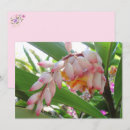 Pesquisar por ginger cartoes Rosa