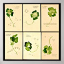 Pesquisar por kirchner pôsteres Mulher