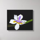 Pesquisar por arte africana impressão de canvas Flor